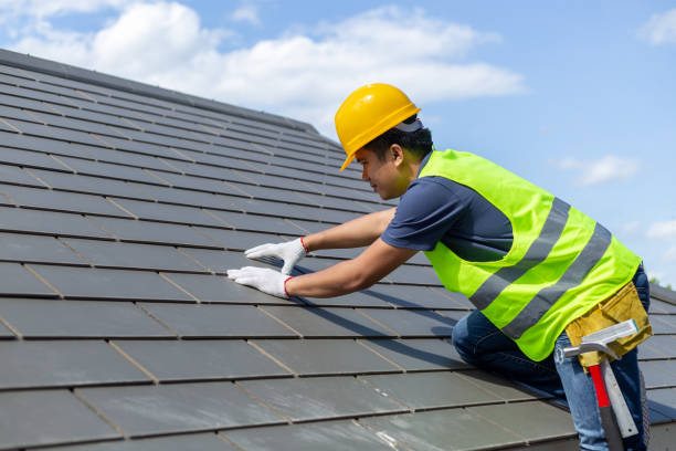 Best Roof Gutter Cleaning  in Tecumseh, MI
