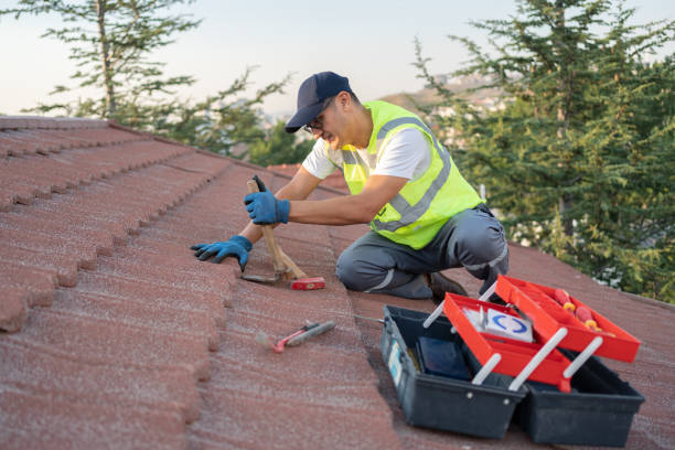 Best Flat Roof Repair Services  in Tecumseh, MI