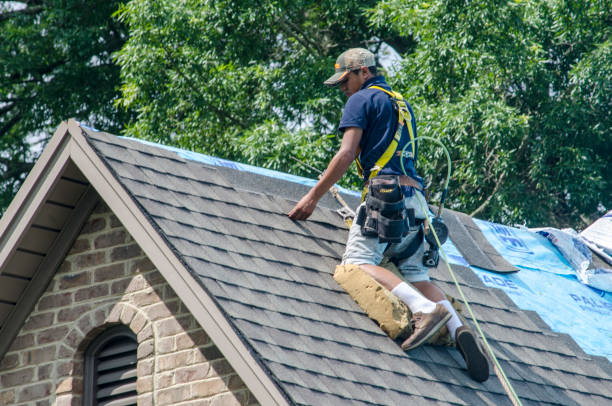 Best Local Roofing Companies  in Tecumseh, MI